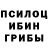 Галлюциногенные грибы Cubensis Intellllect