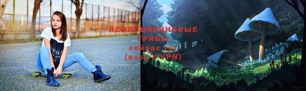 2c-b Арсеньев