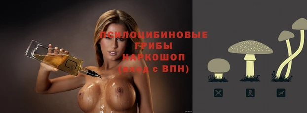 дмт Армянск